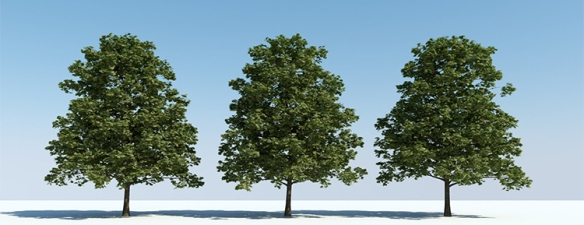 free 3dmax trees